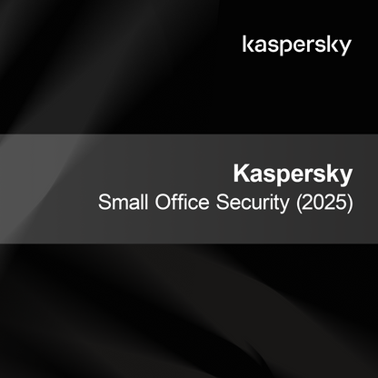 Kaspersky Lille Kontor Sikkerhed (2025)